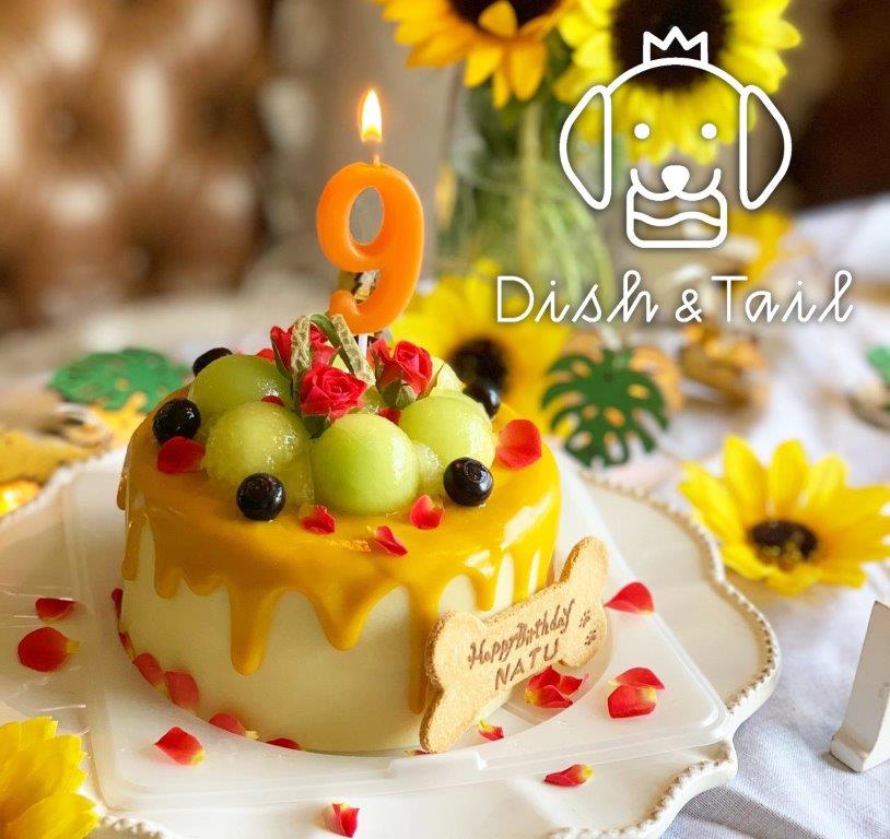 Dish ＆Tail